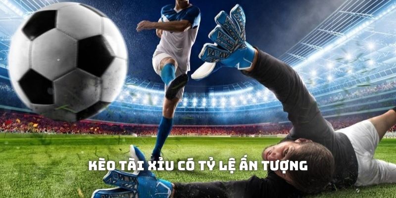 Tham gia kèo tài xỉu với tỷ lệ cá cược Thể thao